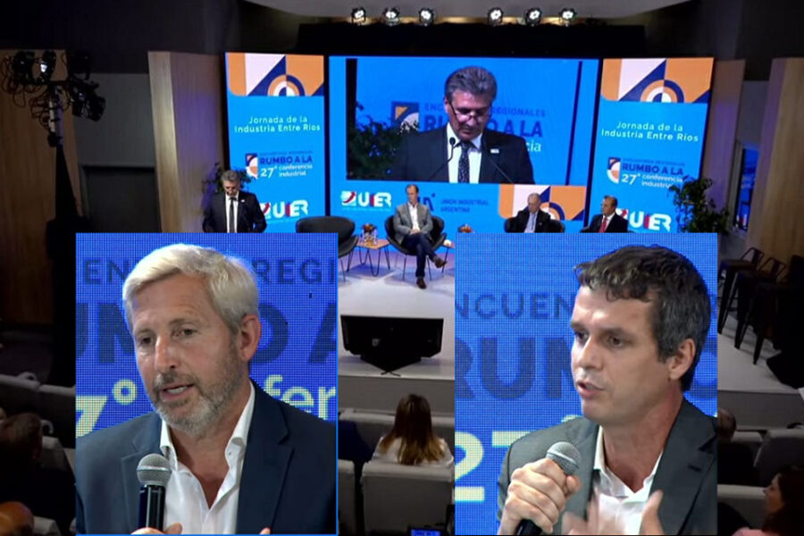 Compare las exposiciones de Cresto y Frigerio frente a la UIER