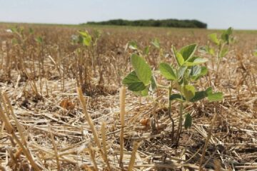 La exigencia de la Sociedad Rural a los gobernadores por la sequía