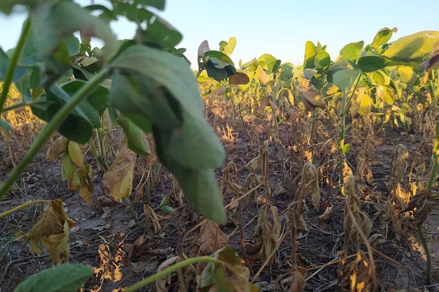 Piden que Entre Ríos se considere zona de desastre