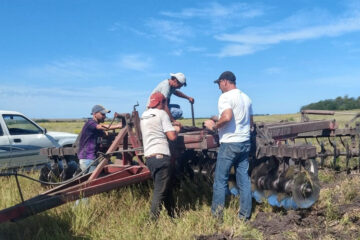 Otra reacción tardía