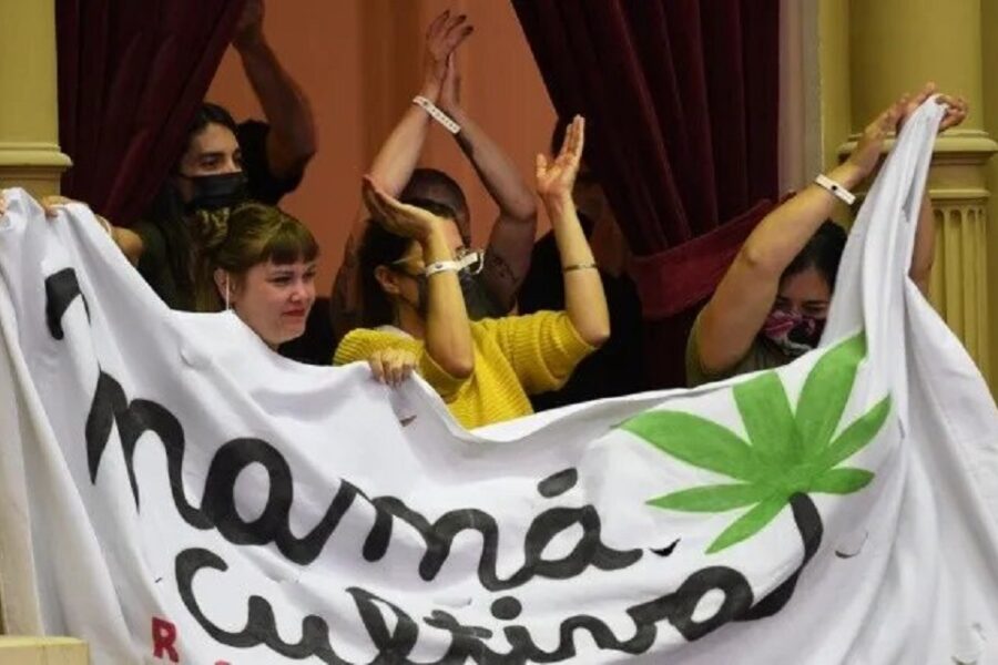 El cannabis es ley con impulso entrerriano