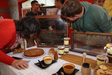 Promoción e incentivo a los productores apícolas