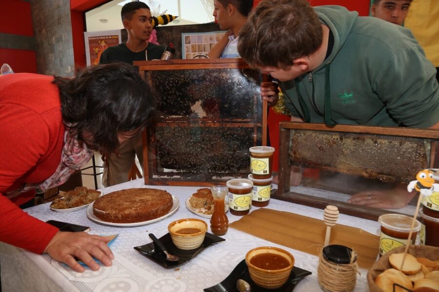 Promoción e incentivo a los productores apícolas