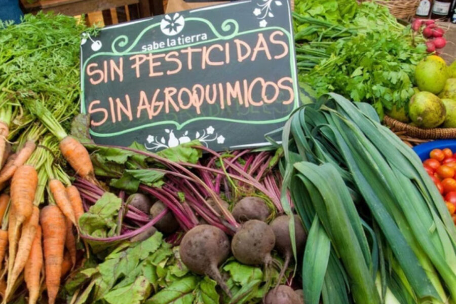 Denuncian por fraude a Piaggio