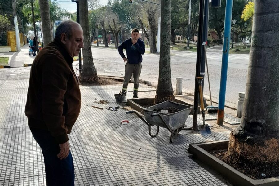 Renovación y optimización de veredas en calle 9 de julio