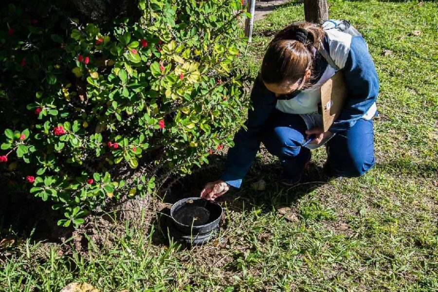 La Municipalidad trabaja todo el año en la prevención del Dengue