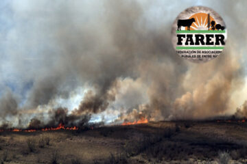 Repudian las quemas pero no quieren la nueva Ley de Humedales