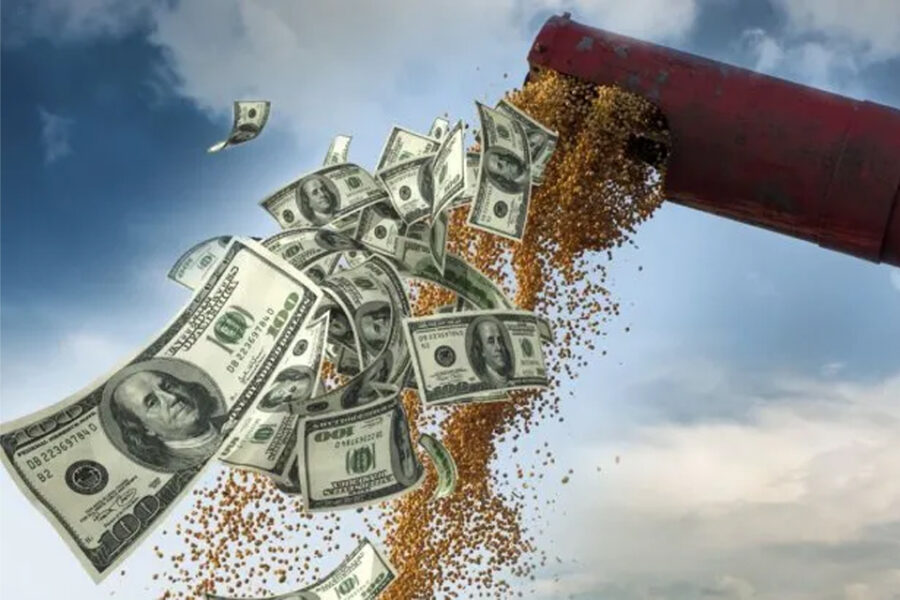 Ruralistas entrerrianos rechazan el nuevo Dólar Soja