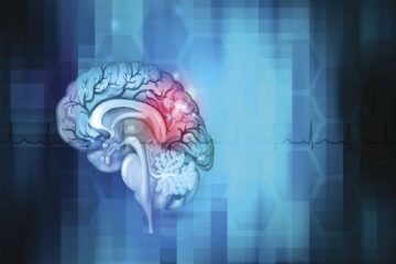 (Mención a Entre Ríos) De la Antártida a la Quiaca, el país se iluminará de rojo para alertar sobre los síntomas del ACV