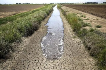 Otro pedido por la emergencia agropecuaria en Entre Ríos