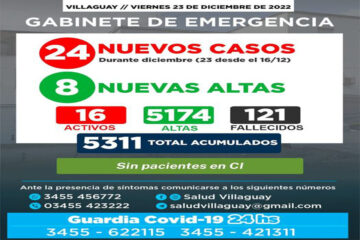 Informe del GEV sobre el Covid-19