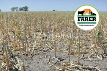 Ruralistas entrerrianos piden repensar políticas para el sector