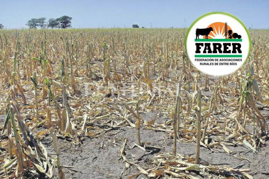 Ruralistas entrerrianos piden repensar políticas para el sector