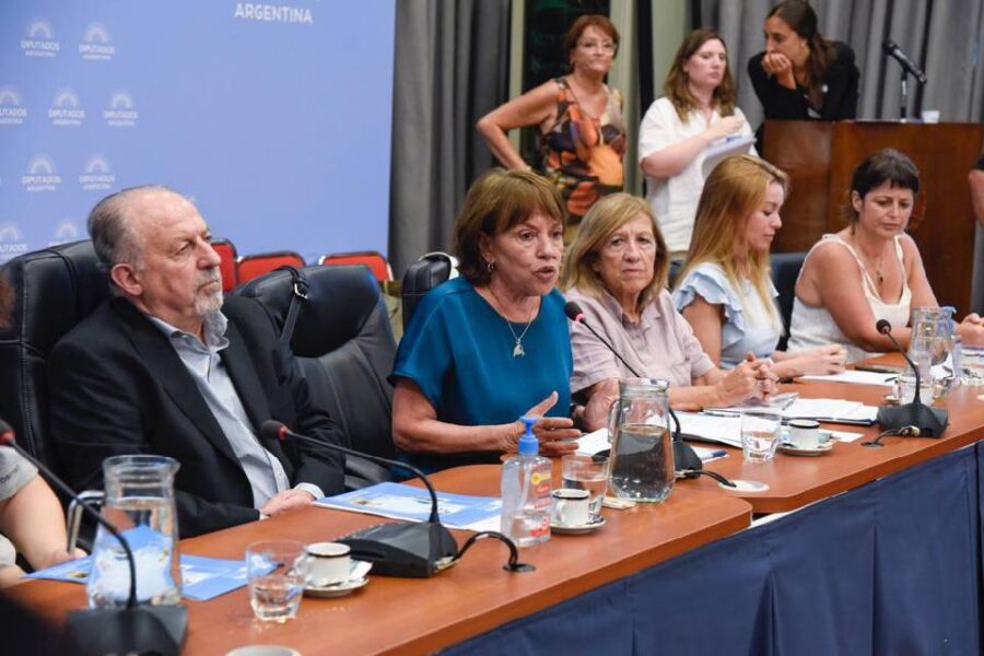 Avanza el proyecto de la Universidad Juan L. Ortiz en Ente Ríos