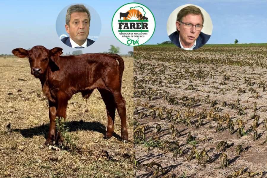 Ruralistas entrerrianos dicen que es insuficiente la ayuda de Nación