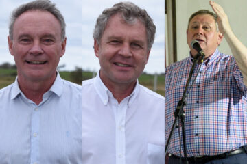 Rogel cruzó a Schneider y a Galimberti por “jugar a la interna”