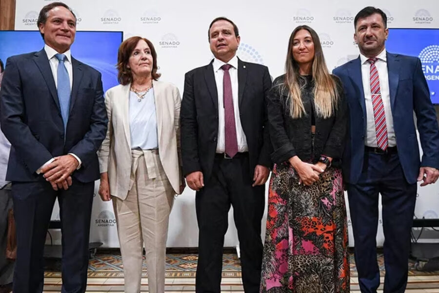 El bloque de Kueider convoca a debatir el proyecto para bajar la luz