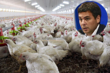 Bastian: “Es imperativo que se atienda la problemática por región”