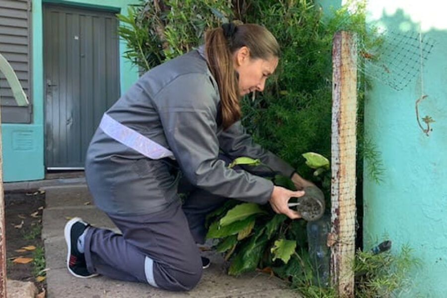 Continúa la promoción ambiental para prevenir el dengue