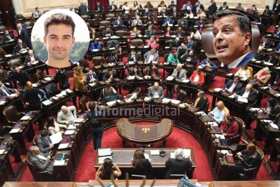 Ganancias: Las perlitas entrerrianas en Diputados