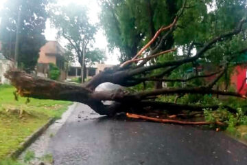 El saldo de la fuerte tormenta en la provincia