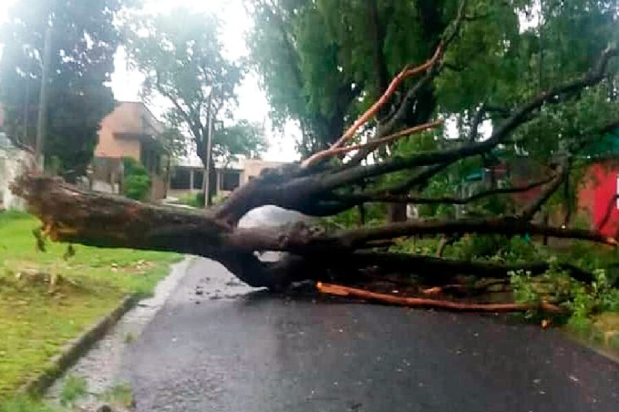 El saldo de la fuerte tormenta en la provincia