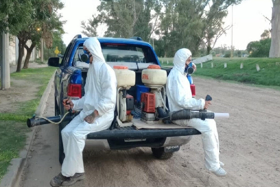 Volcar agua, cepillar, fumigar; la prevención del dengue es tarea de todos