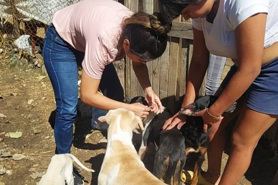 Se viene una nueva jornada gratuita de vacunación antirrábica