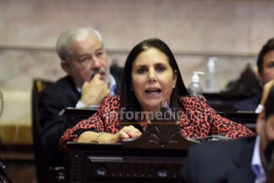 El balance de Lena sobre su año en Diputados