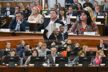 Contrastes entre el oficialismo y el PJ tras la media sanción